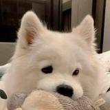用户4081805135910头像