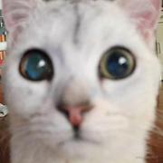 dayu12138的个人资料头像