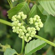 西O塘的个人资料头像