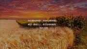 Tchaikovsky的个人资料头像
