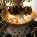 黔秦5t1g头像