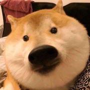 大大大大大都督的个人资料头像