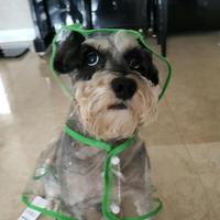 啵啵一个啵头像