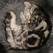 趁你还年轻860的个人资料头像