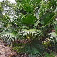 依山傍水526头像