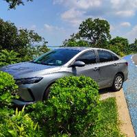 菜鸟爱闲逛头像