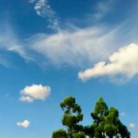 最后一粒mTnF头像