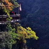 浅若清风头像