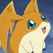 hz_的个人资料头像