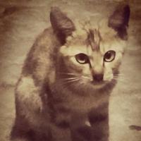 难以言喻681头像