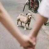 只愿得一人心0头像