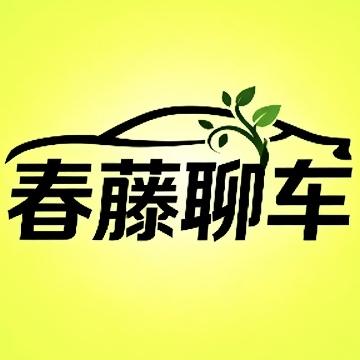 春藤聊车头像