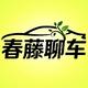 春藤聊车头像