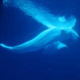 探索宇宙研究所头像