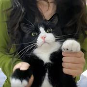 hx桦的个人资料头像