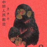 枪炮与玫瑰993头像