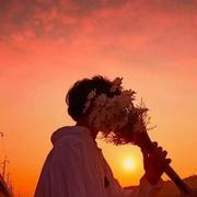 我不会harmonyOS的个人资料头像