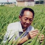 手机用户54410067880头像