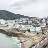 AlanZhang67275493头像