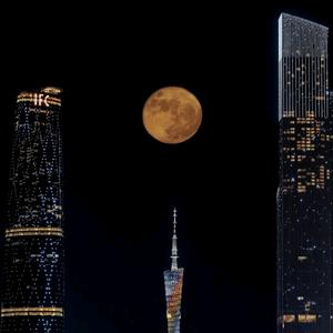 哈里看世界头像