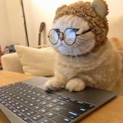 用户7904317985031的个人资料头像