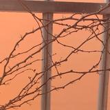 石头可爱吗头像