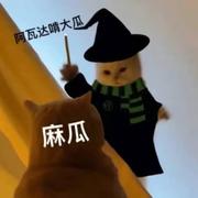 hheh的个人资料头像