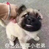 松鼠重返未来头像