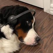 D798的个人资料头像