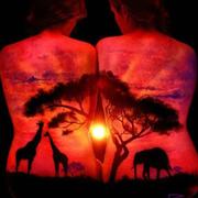 cuag的个人资料头像