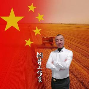 钢哥工作室头像
