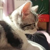 吃吃喝喝喽头像