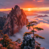 櫧櫧丶头像