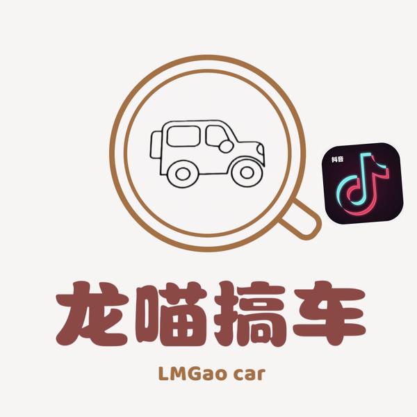 龙喵搞车头像