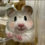 鼠鼠我我呀吃饭用大盆的个人资料头像