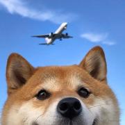 风吹云卷云舒的个人资料头像