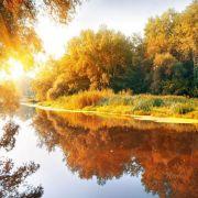 艾I3的个人资料头像