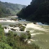锋平静头像
