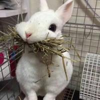 wo百日维新头像