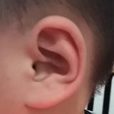 野马阿笨头像
