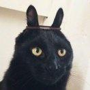 啥瓜子的个人资料头像