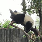 Lan桂圆的个人资料头像