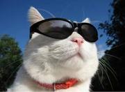 milin的个人资料头像