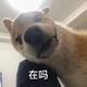 WuuR1ch4ever · 奔驰GLE轿跑车主·车龄9年头像