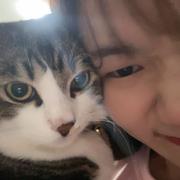 是佳凡哇的个人资料头像