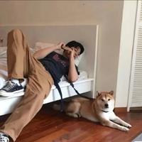 大濑341头像