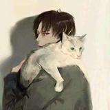 哦是猫猫诶头像