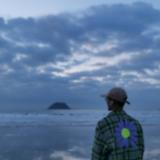 张星河281头像