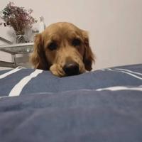 秋衣不高兴头像