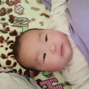 一只熊猫的个人资料头像